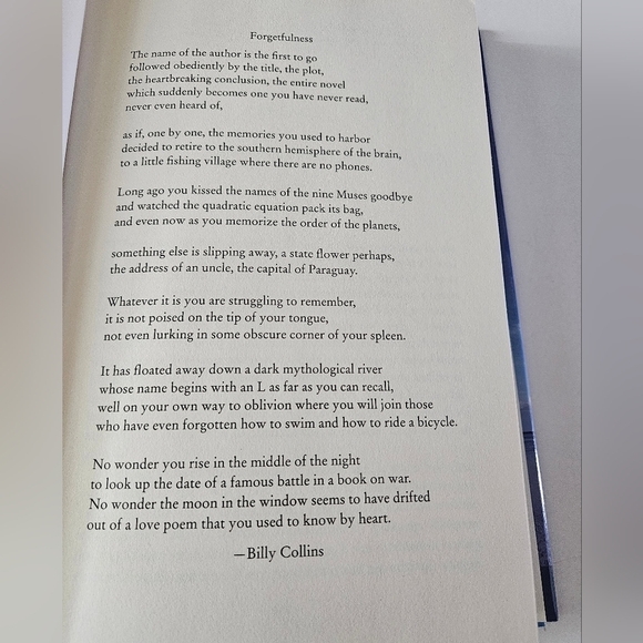 Carved in Sand When attention fails and memory fades in the Middle.Ramin. Harper - Picture 11 of 16